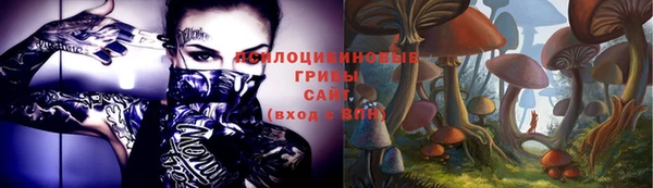 индика Алексеевка