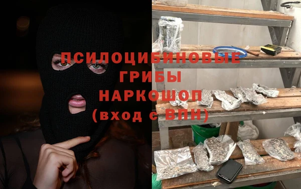 индика Алексеевка