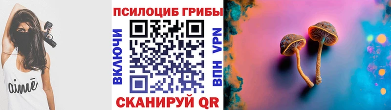 мега как зайти  купить   Югорск  Псилоцибиновые грибы Cubensis 
