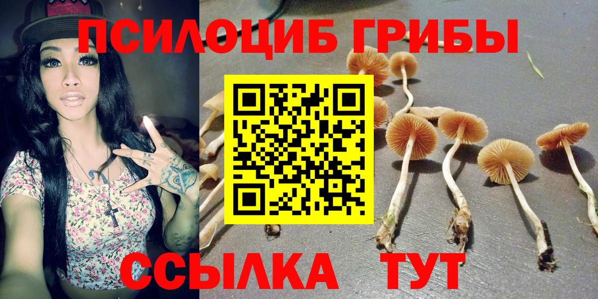 Галлюциногенные грибы мухоморы Югорск
